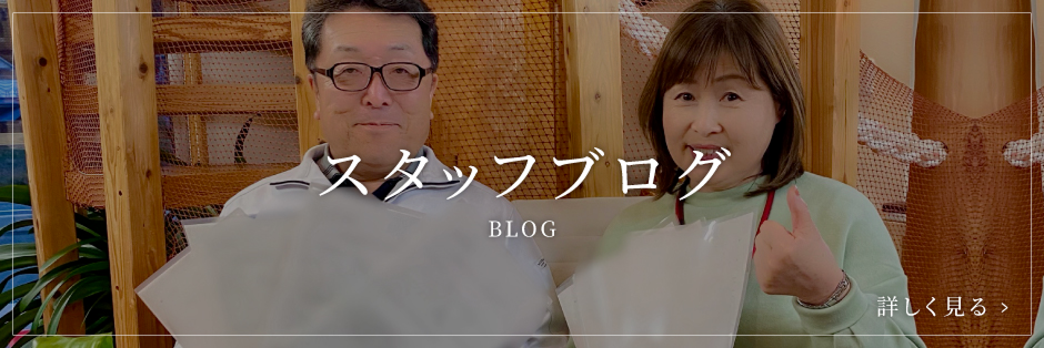 スタッフブログ