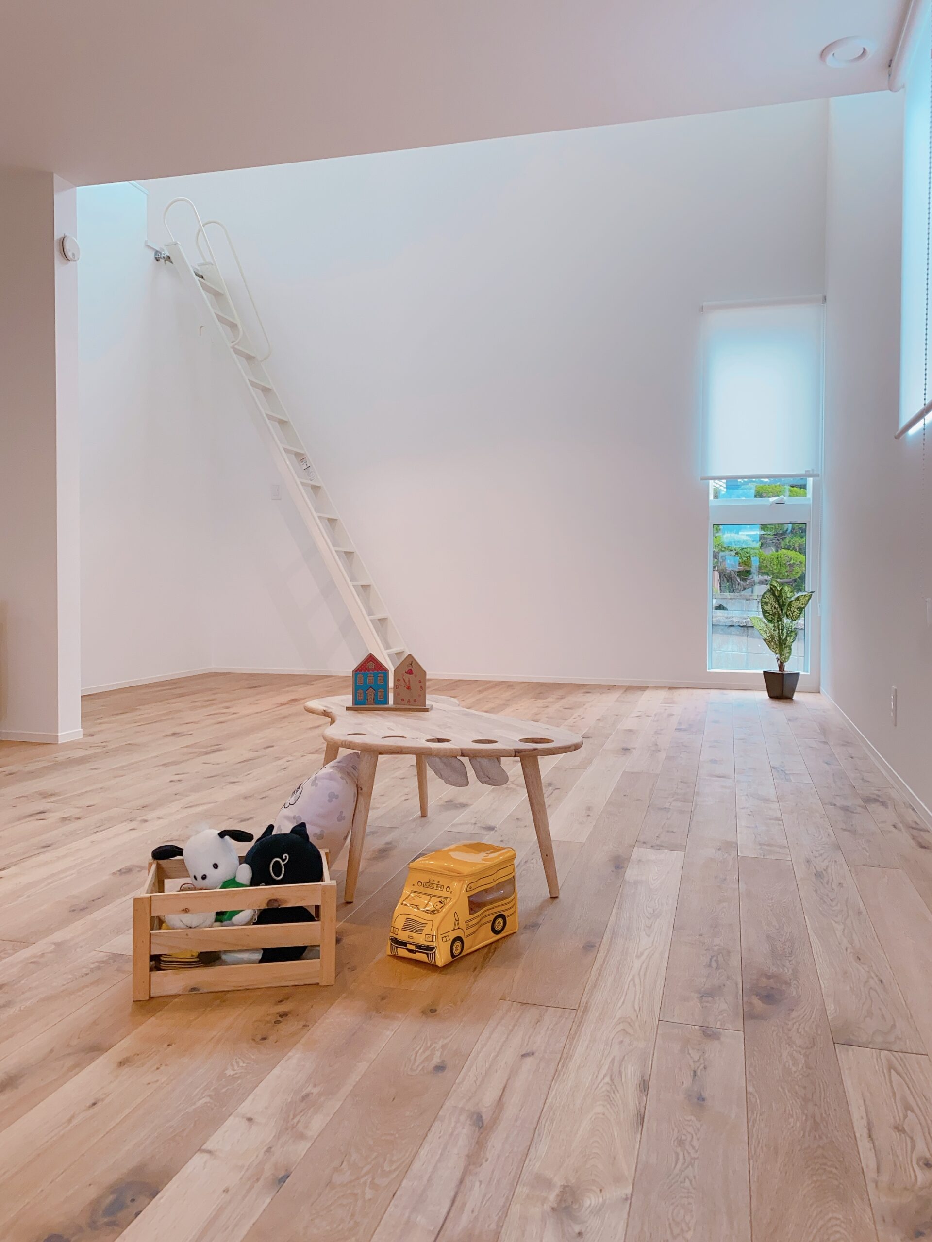 暮らしを明るく彩る家