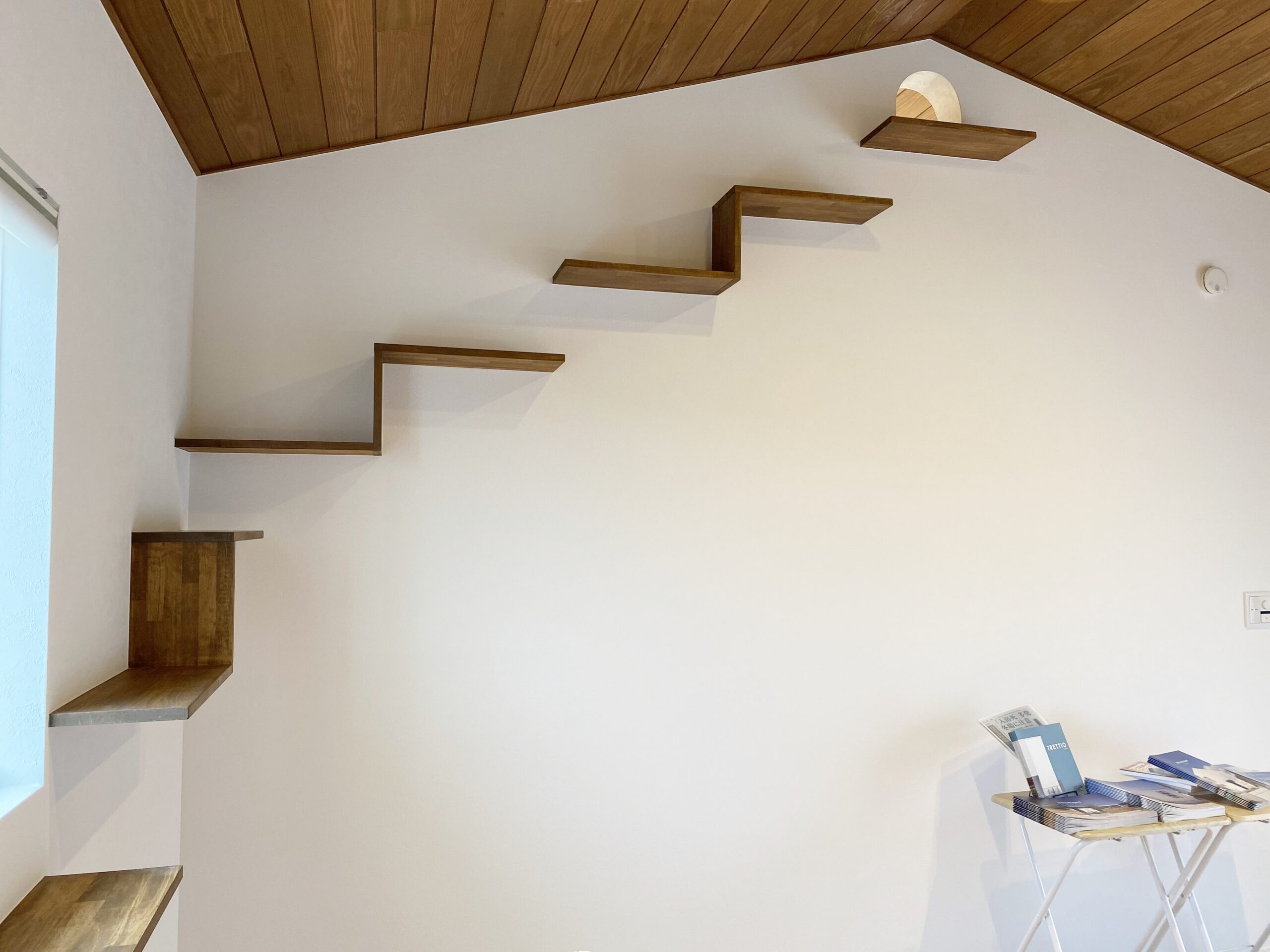 愛される家、猫との日常。