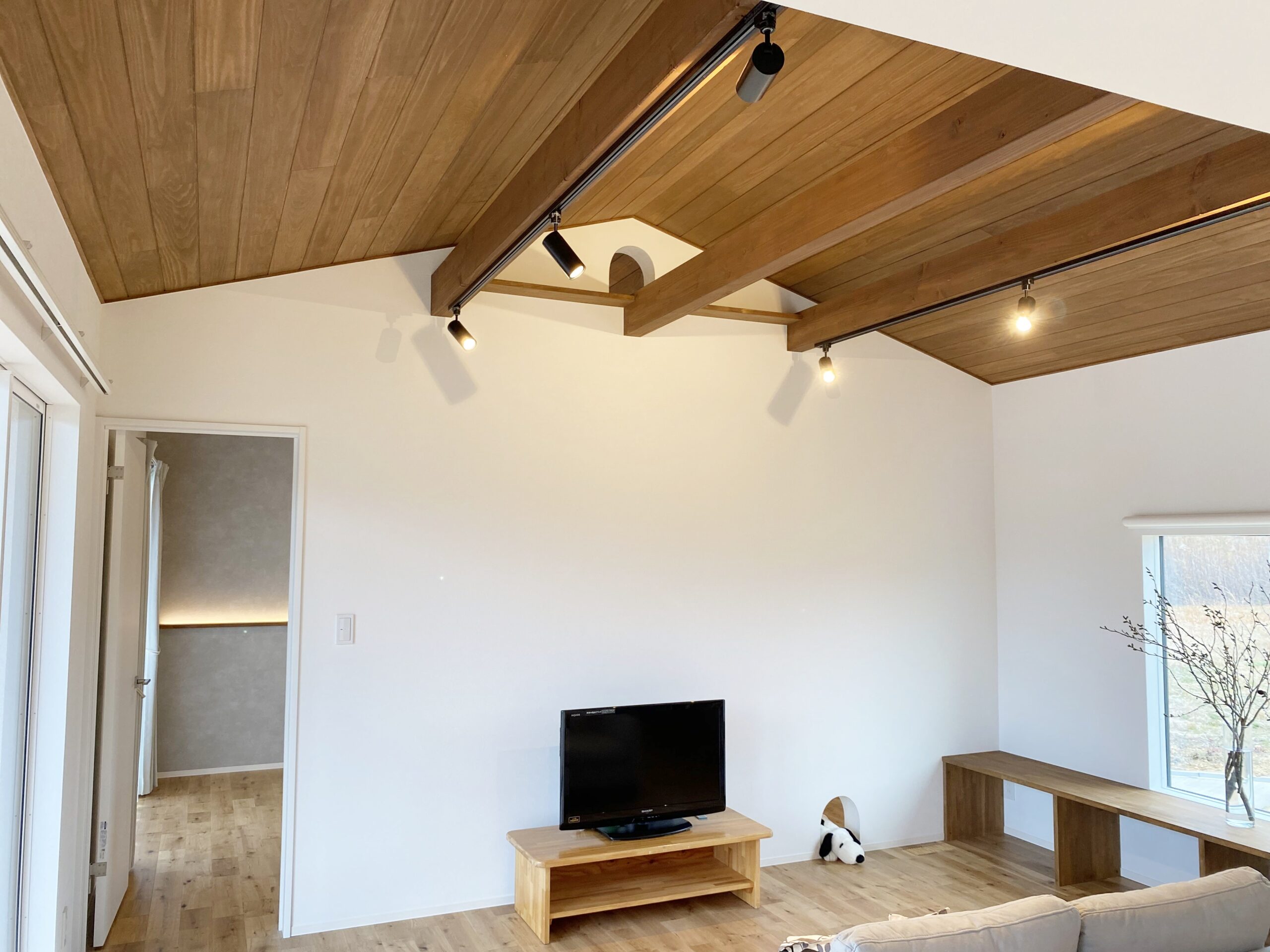 愛される家、猫との日常。