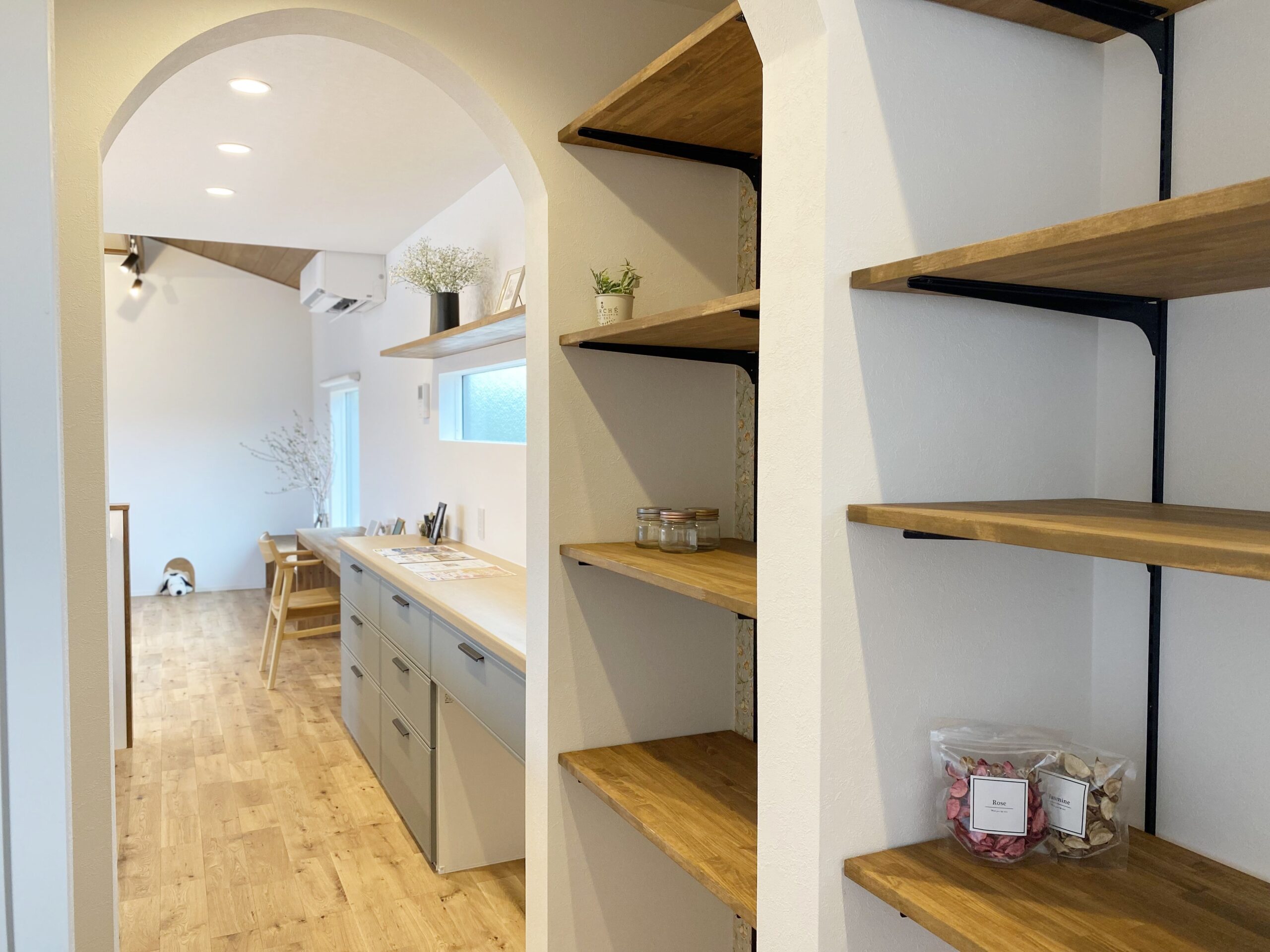 愛される家、猫との日常。